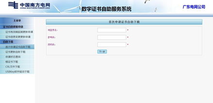 南方電網(wǎng)證書自助服務系統(tǒng)與專業(yè)軟件外包服務平臺