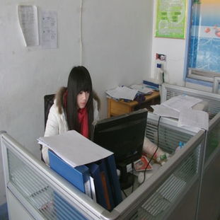 青島職業技術學院軟件與服務外包學院 軟件外包服務的產教融合典范